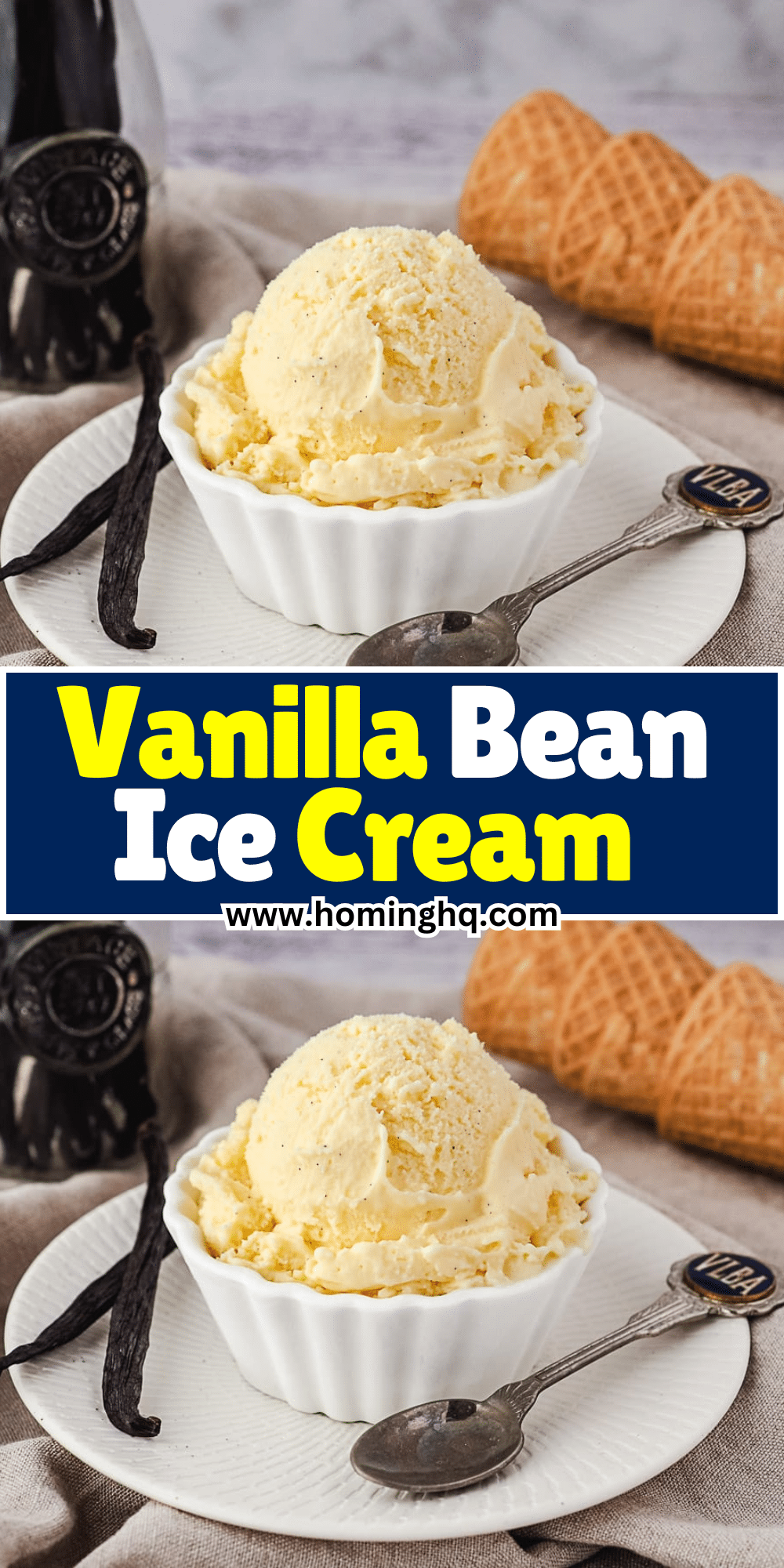 Classic Vanilla Bean Ice Cream