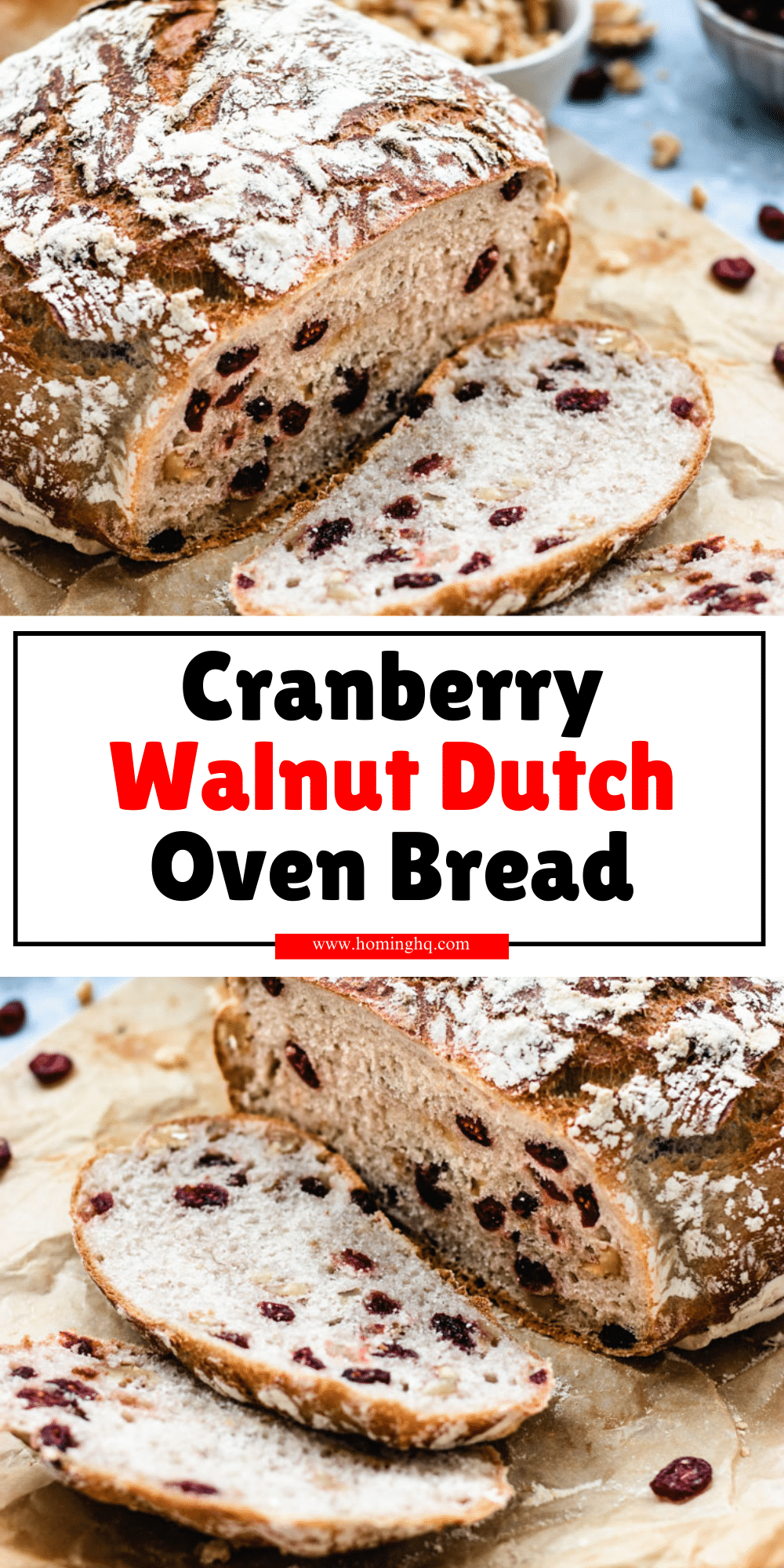 Cranberry Walnut Dutch Oven Bread