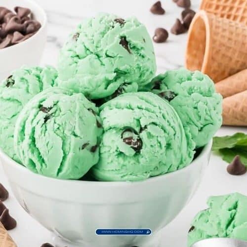 Mint Chocolate Chip Ice Cream