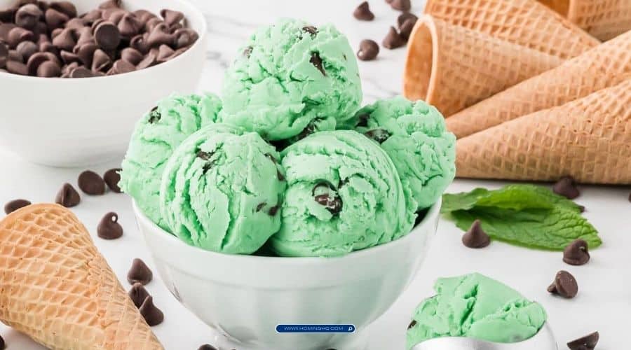 Mint Chocolate Chip Ice Cream