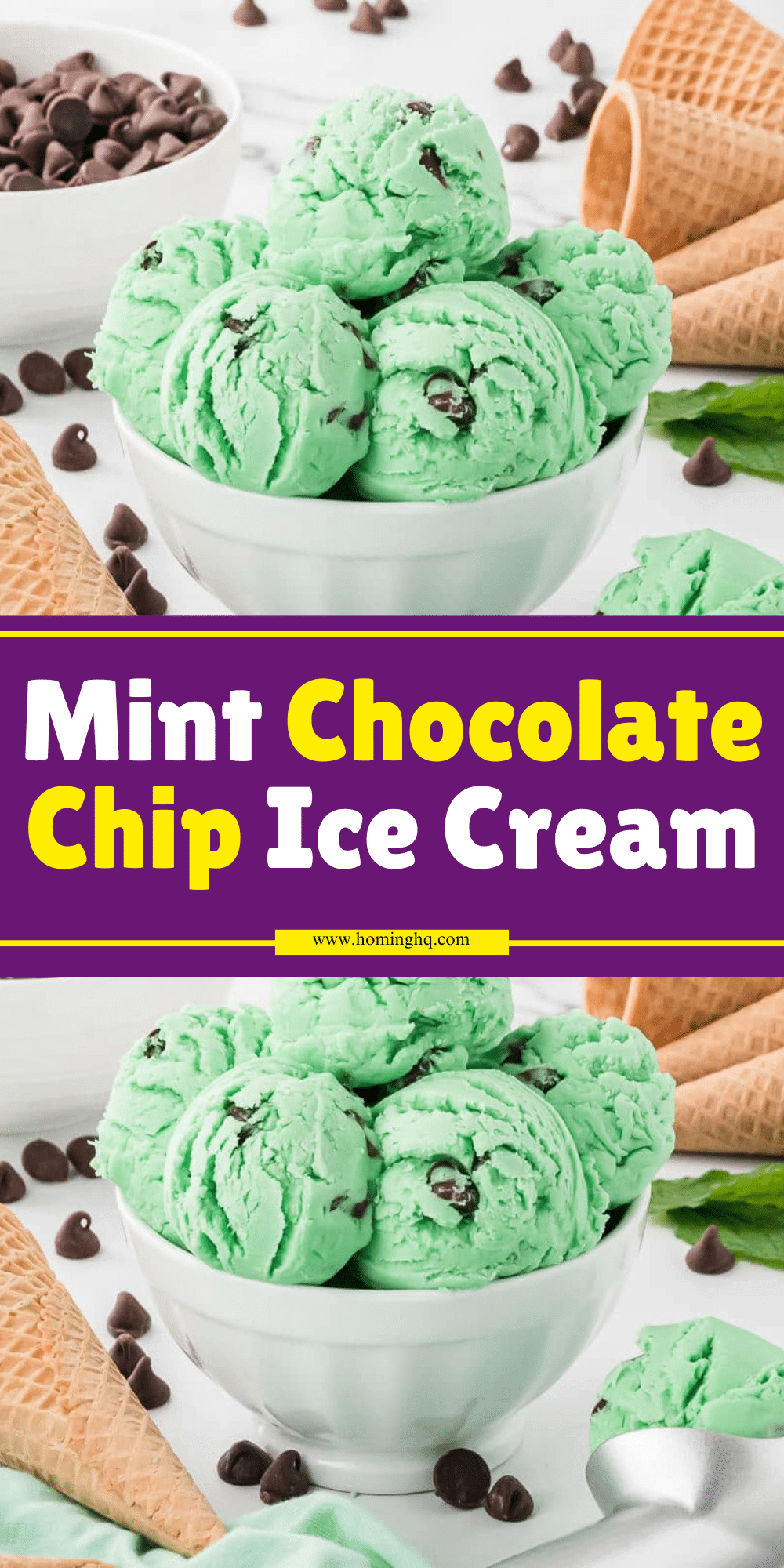 Mint Chocolate Chip Ice Cream