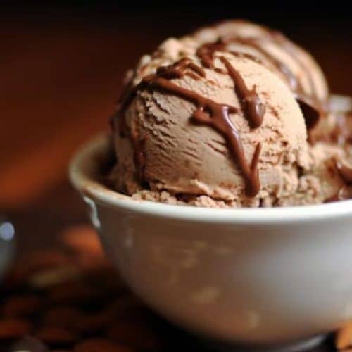 Mocha Almond Fudge Ice Cream