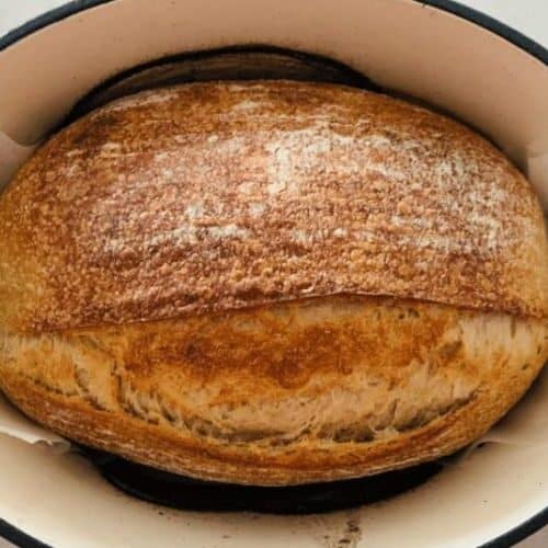 Rye Dutch Oven Bread