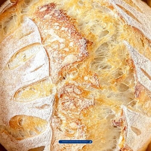 Sourdough Dutch Oven Bread