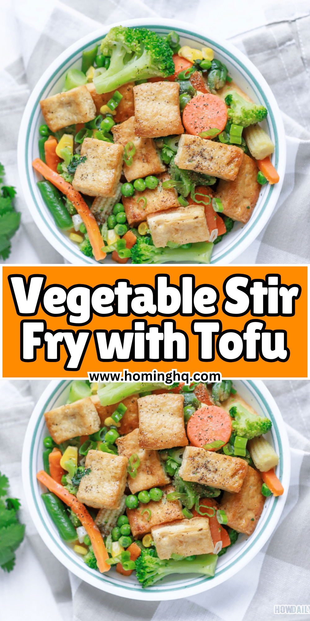 Vegetable Stir Fry with Tofu