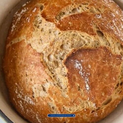 Whole Wheat Dutch Oven Bread