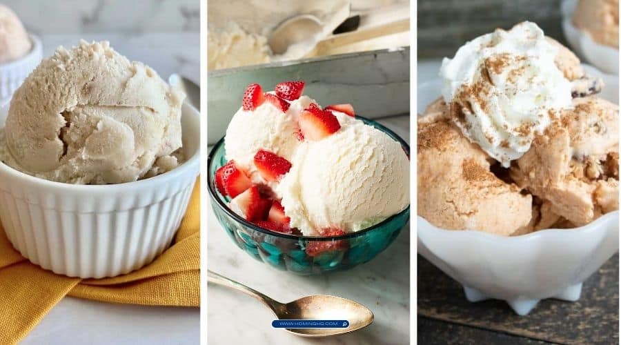 automatic ice cream maker recipes