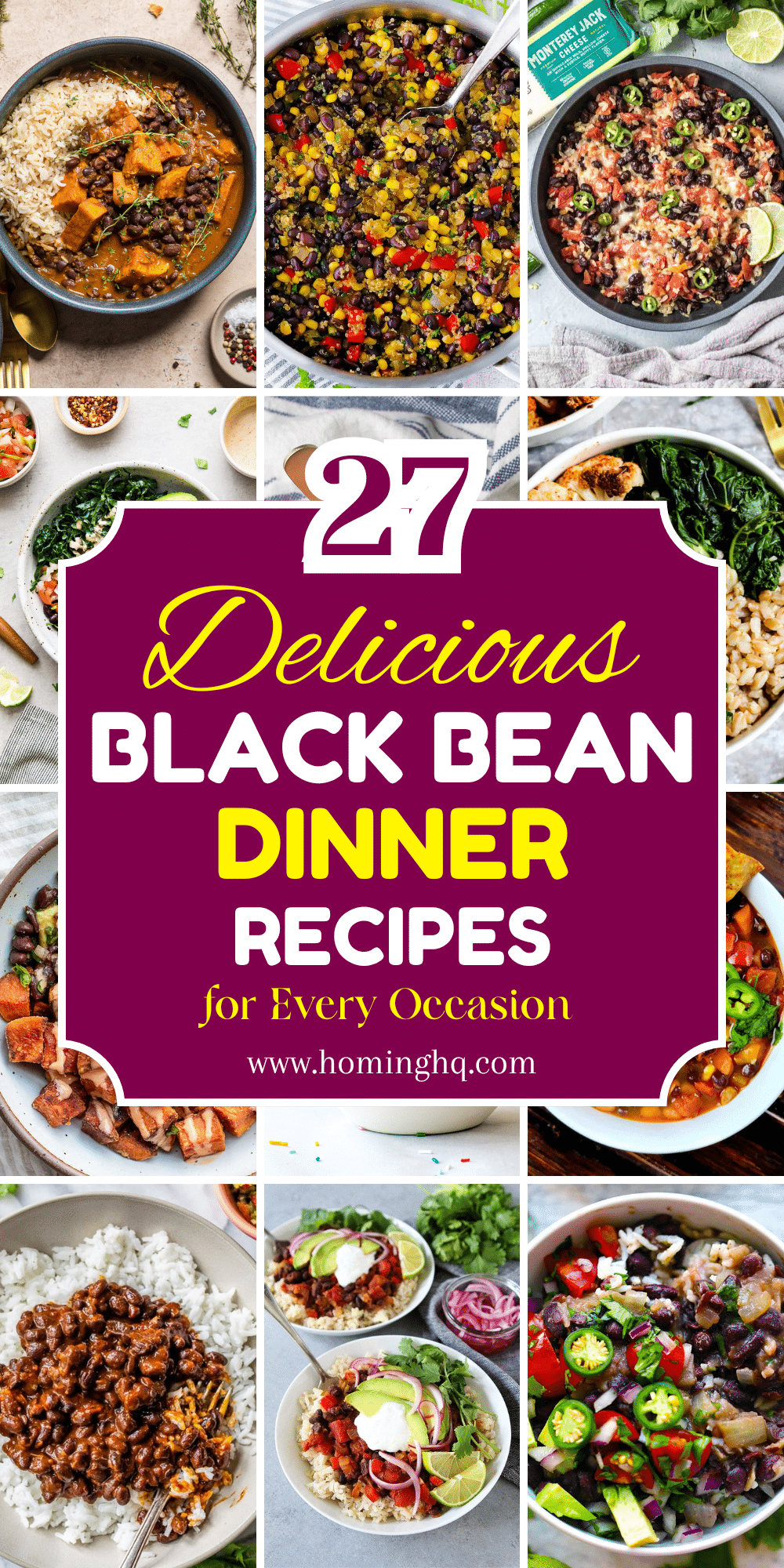 black bean dinner recipes