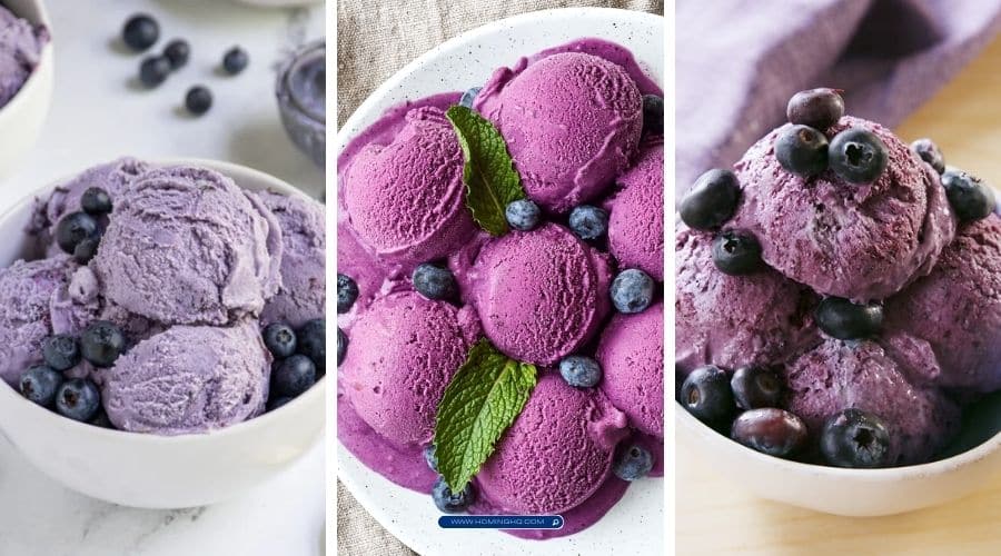 blueberry ice cream recipes