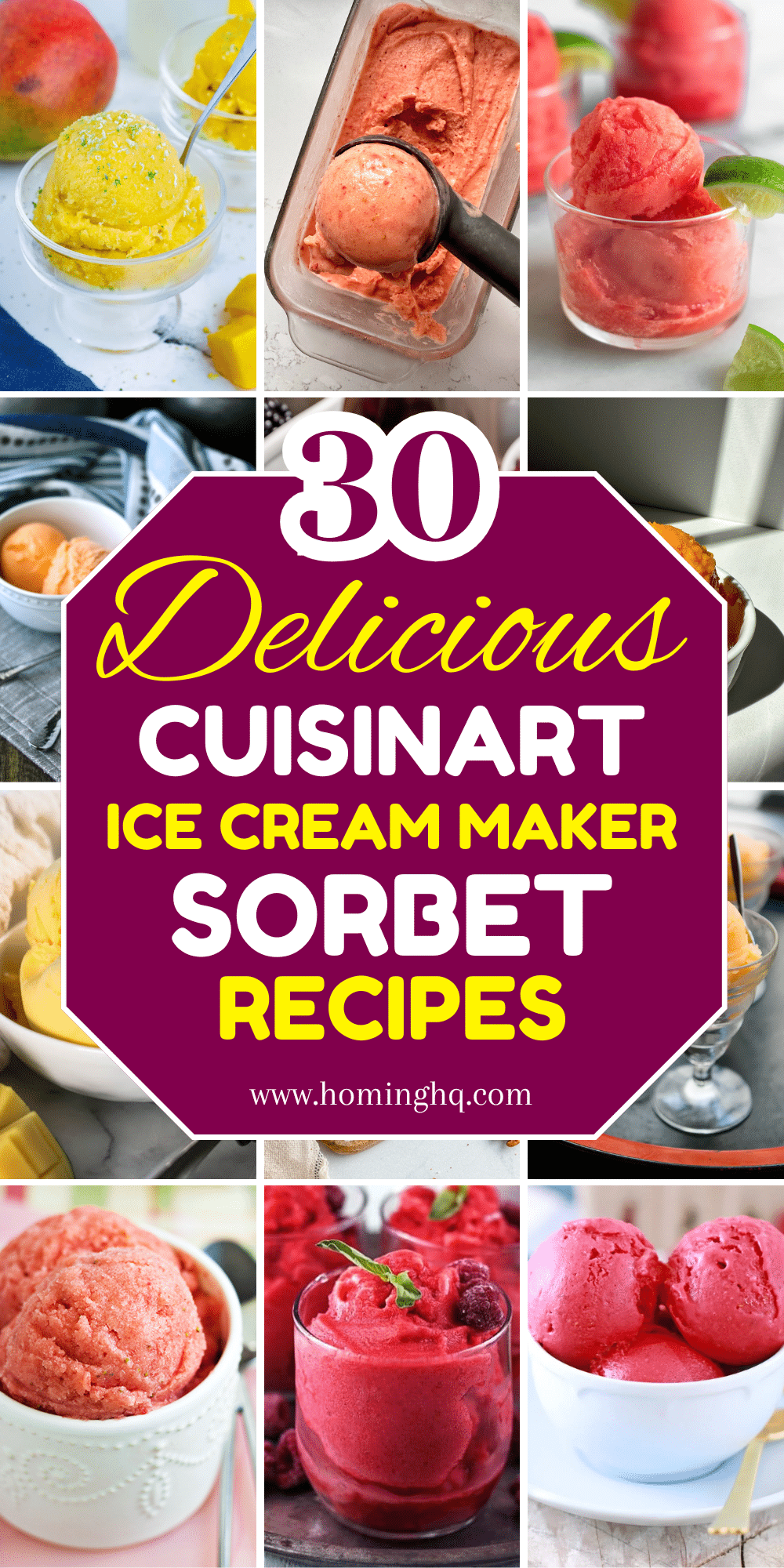 cuisinart ice cream maker sorbet recipes