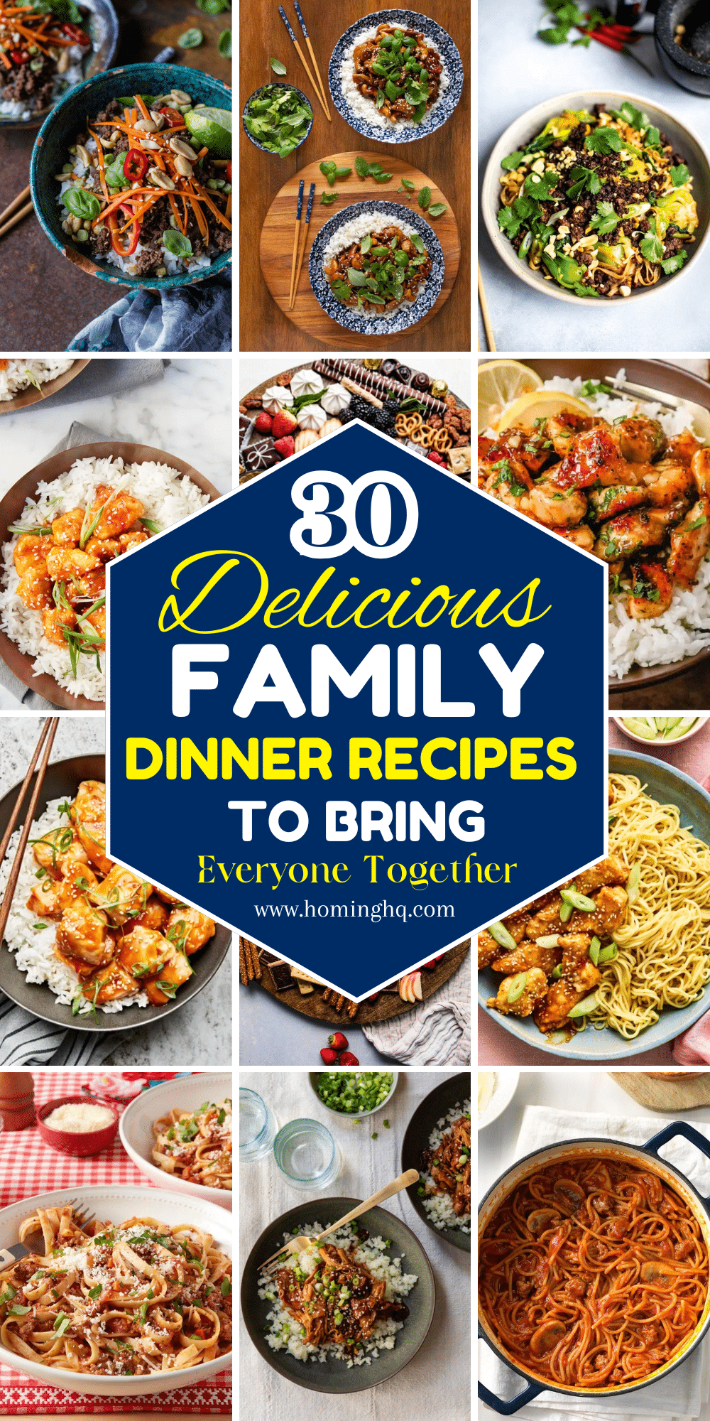 family dinner recipes