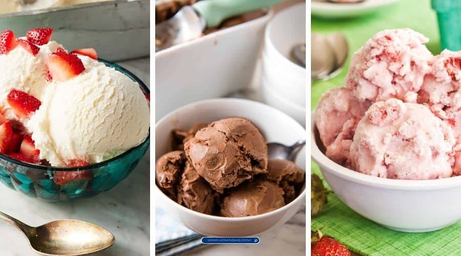 homemade ice cream maker recipes