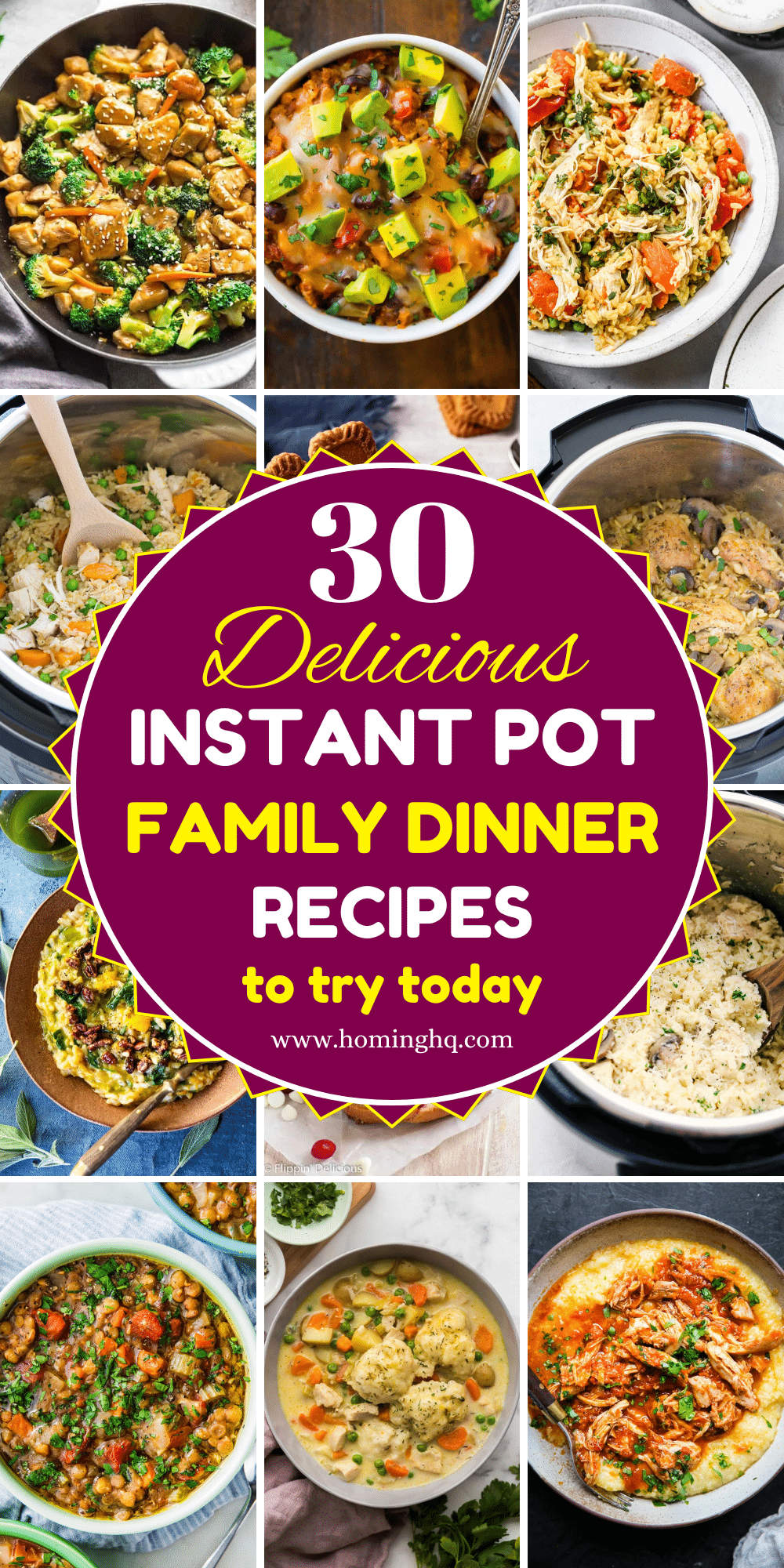 instant pot family dinner recipes