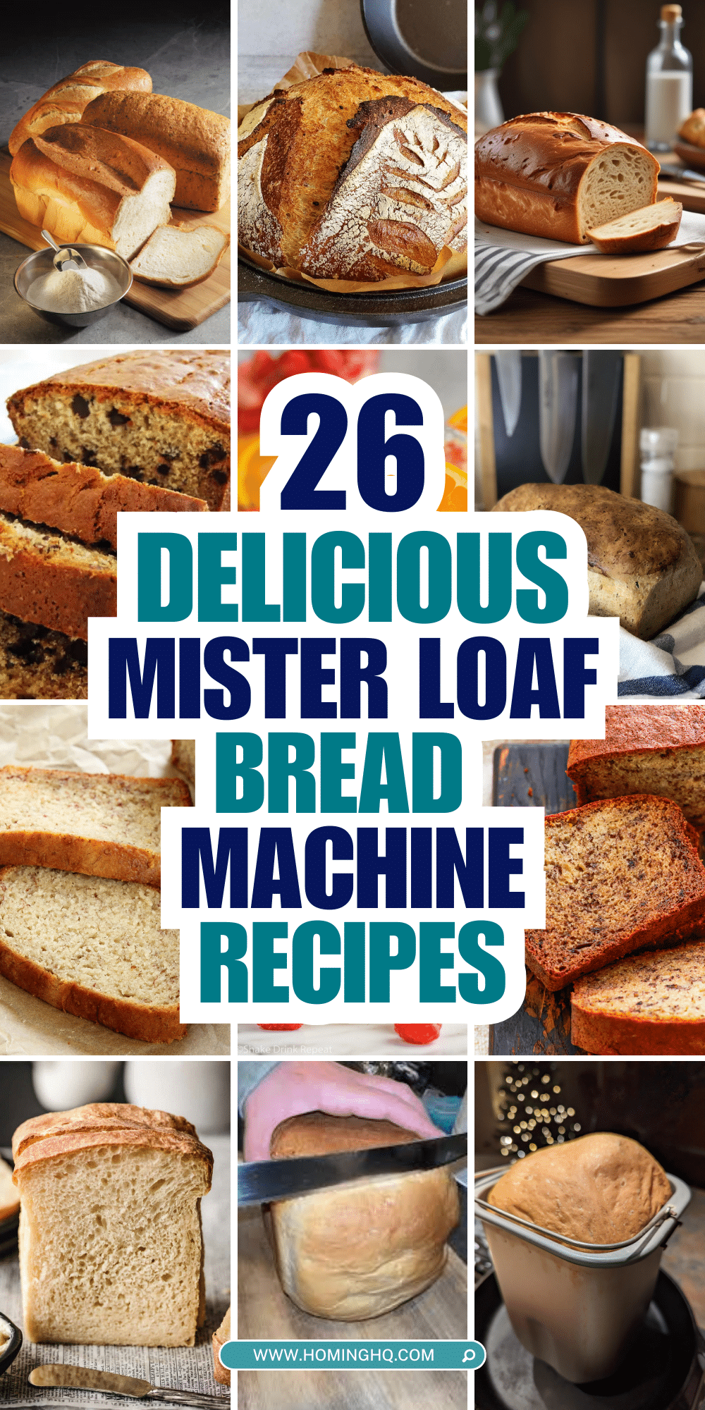 mister loaf bread machine recipes