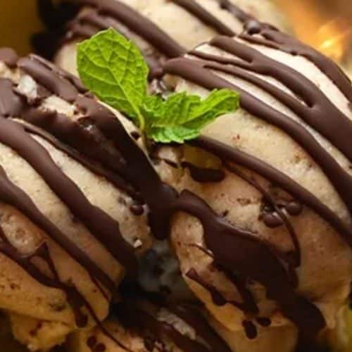 Banana Chocolate Chip Ice Cream