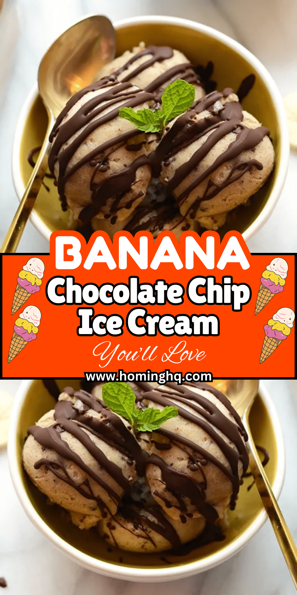 Banana Chocolate Chip Ice Cream