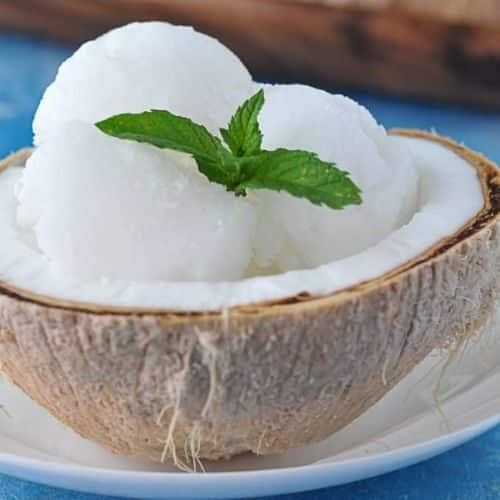 Coconut Ice Cream