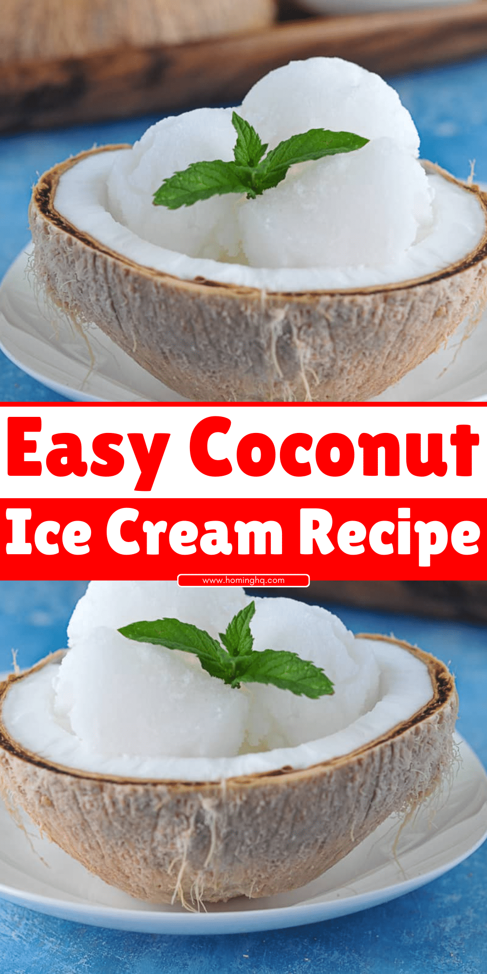 Coconut Ice Cream