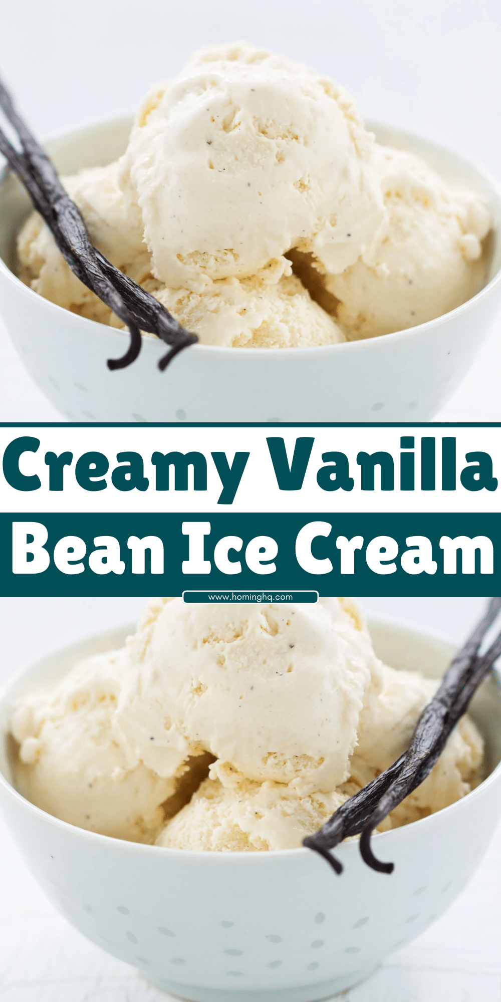 Creamy Vanilla Bean Ice Cream