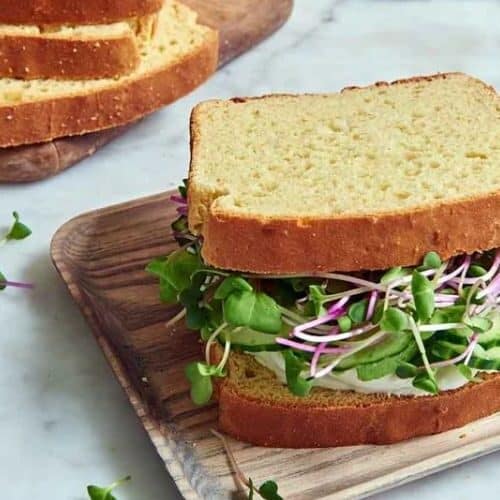 Gluten Free Sandwich Bread