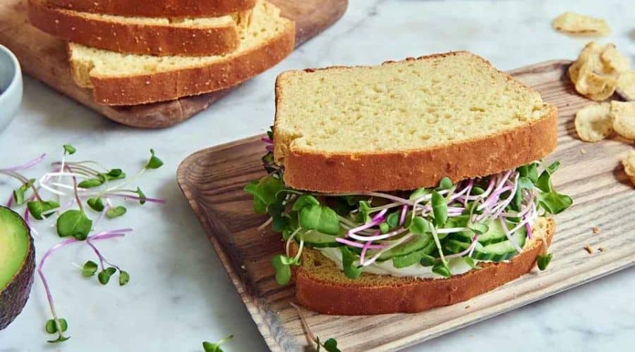 Gluten Free Sandwich Bread