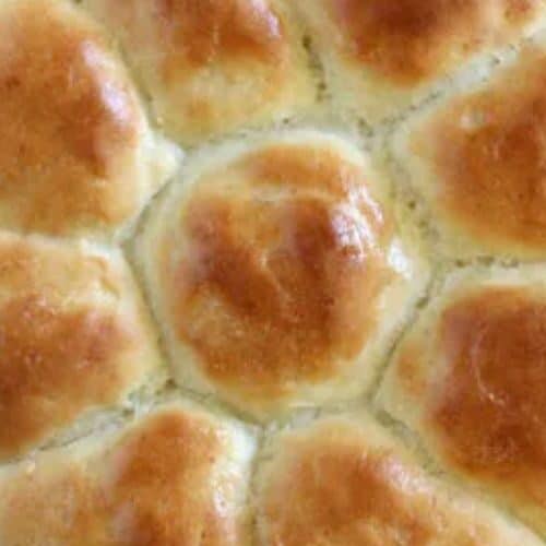 Soft Gluten Free Dinner Rolls